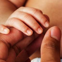 Close up of adult and infant holding hands