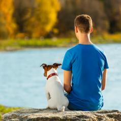 boy and dog sitting together enjoying the view