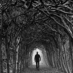 Person walking in a dark tunnel of trees