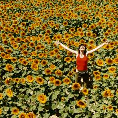 Person stands in field of sunflowers with arms outstretched