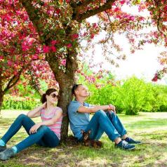 Two people and a small dog sit under a tree with bright pink blossoms