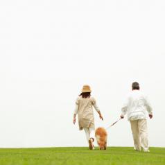 Rear view of a mature couple dressed for cool weather with a dog walking between them