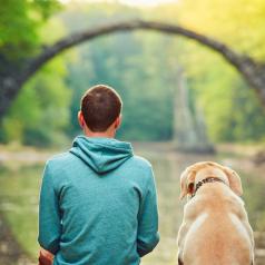 A person sits next to a Golden Retriever and looks out across water toward arced stone bridge 