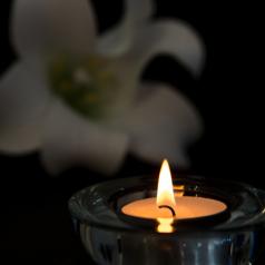 candle in foreground, white flower behind