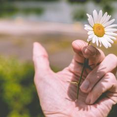 Hand holding a flower instead of a cigarette