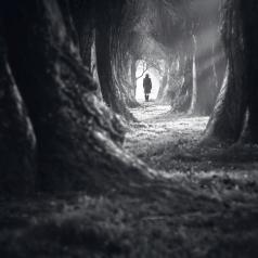 Figure walking alone in dark forest