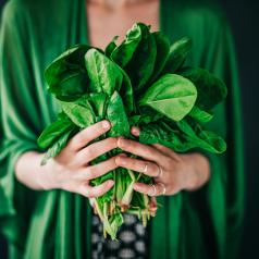 Person in green wrap holds out bunch of spinach in hands
