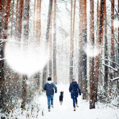 Couple run through snowy trees with dog 