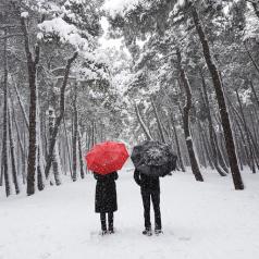 Two people stand apart in snow, facing away from camera, holding separate umbrellas