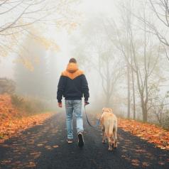 Rear view of person in jeans and jacket walking dog in fog