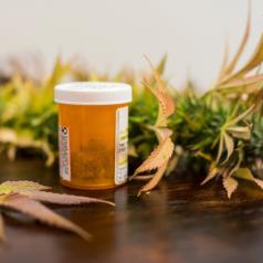 Medical marijuana prescription bottle