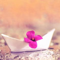 Small fuchsia flower in white paper boat rests on shore of stream 