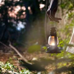 Cropped view of arm and skirt of person who is holding a lit lantern to walk through a dim forest