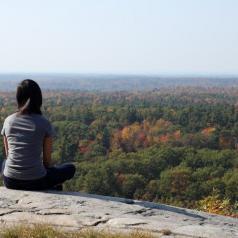 Rear view of person sitting on ledge looking out across tops of trees. Leaves on trees are beginning to change color