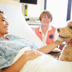 Therapy dog and handler make visits to patients in hospital