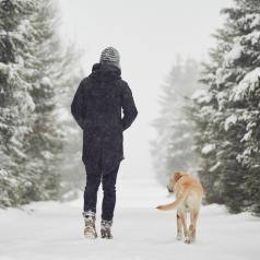 Rear view of person walking with golden retriever down snowy tree-lined road