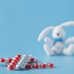Two packs of red and white pills lie on the ground. A toy rabbit sits out of focus.