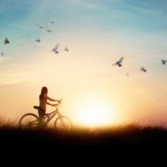Person standing with bicycle on road of paddy field among flying birds and sunset background