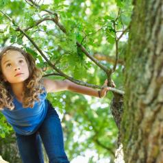 Child looking curious while climbing tree in summer
