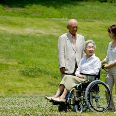 An elderly woman in a wheelchair stops in a grassy field. She is speaking with a young woman and senior man.