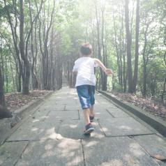 Rear view photo of older child running down stone path into forest