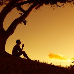 A young man prays under a tree as the sun sets.