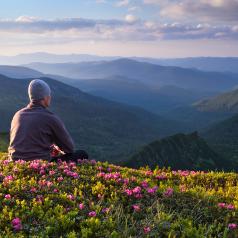 Man sitting in field of flowers on mountaintop, admiring the view