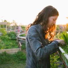 Person with long hair looks into window box and works with plants