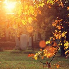 Cemetery on a sunny autumn day