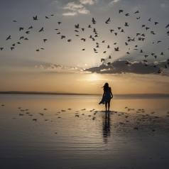 Woman walking on beach at sunrise surrounded by flying birds.