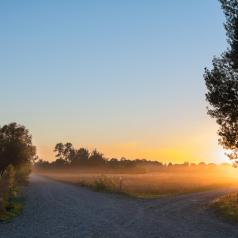 A crossroads in a rural area softly lit by a sunrise