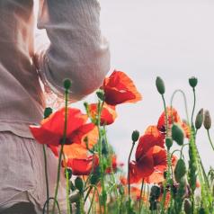 Side view of woman standing in field of tall red poppies