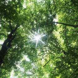 Margaret Rau, Licensed Master Social Worker