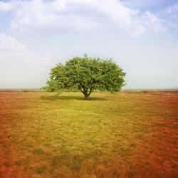 Angelo Mancini, Licensed Clinical Social Worker