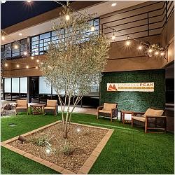 Main Profile Image - Pinnacle Peak Recovery