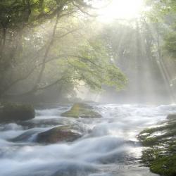 Joshua Sarmiento, Licensed Mental Health Counselor