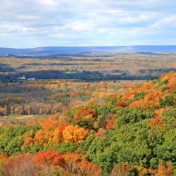 Carol Jarboe, MA, NCC, LPC