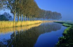 Karen Blicher, LCSW, CHT, CIFST