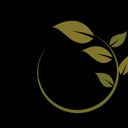 Melissa Spooner MS, LMFT in Rochester