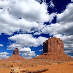 Terry Buster, LCPC, LMFT, LPC