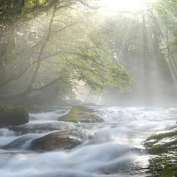 Couples Retreat/Therapy Intensive