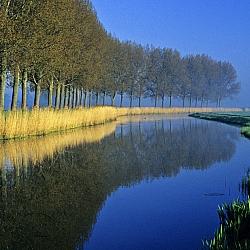 Women\'s Psychedelic Integration Circle Fall 2022