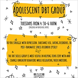 DBT Skills group