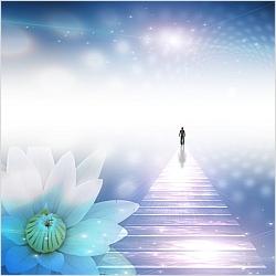 Walking The Walk