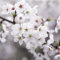  When Life Shifts: Adjusting to Change Without Losing Yourself